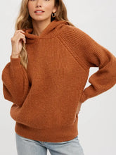 Load image into Gallery viewer, Teddy Knit Hoodie
