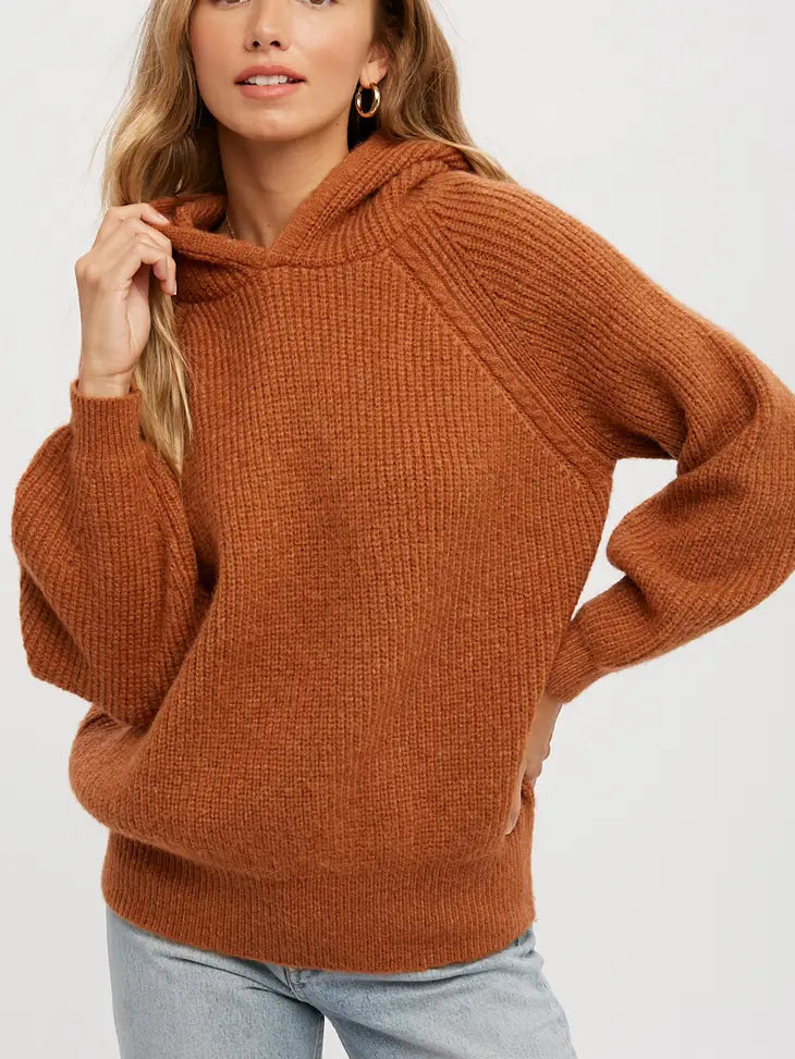 Teddy Knit Hoodie